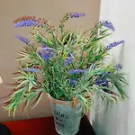Апартаменти Tziapartment In Downtown Chania Ханья (Крит)