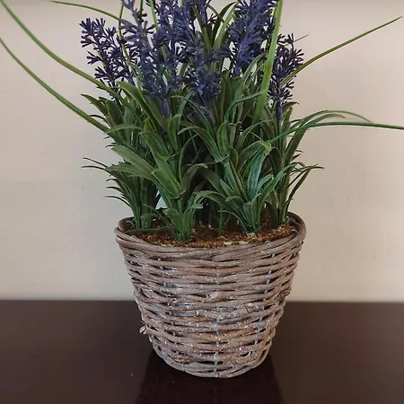 Tziapartment In Downtown Chania Апартаменты