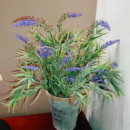 Апартаменты Tziapartment In Downtown Chania Ханья