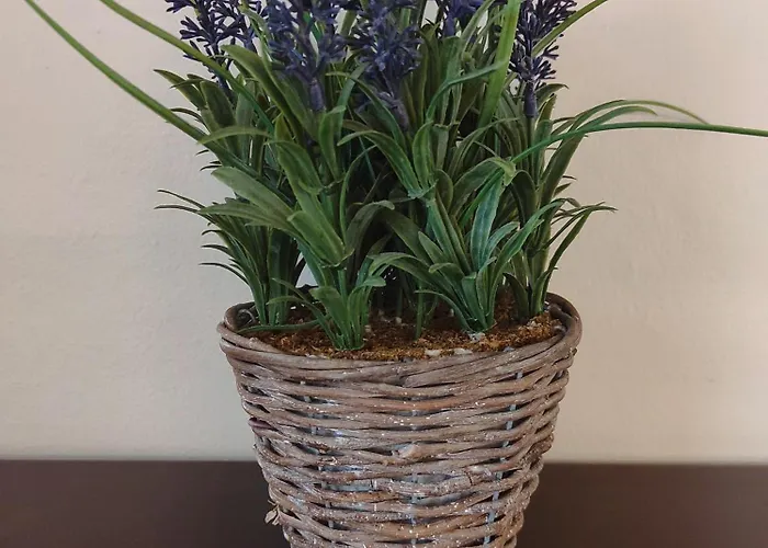 Tziapartment In Downtown Chania アパート