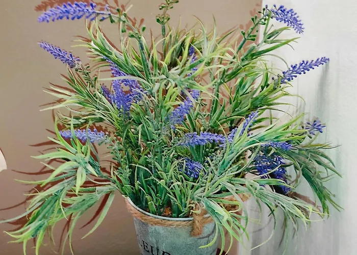 アパート Tziapartment In Downtown Chania ハニア